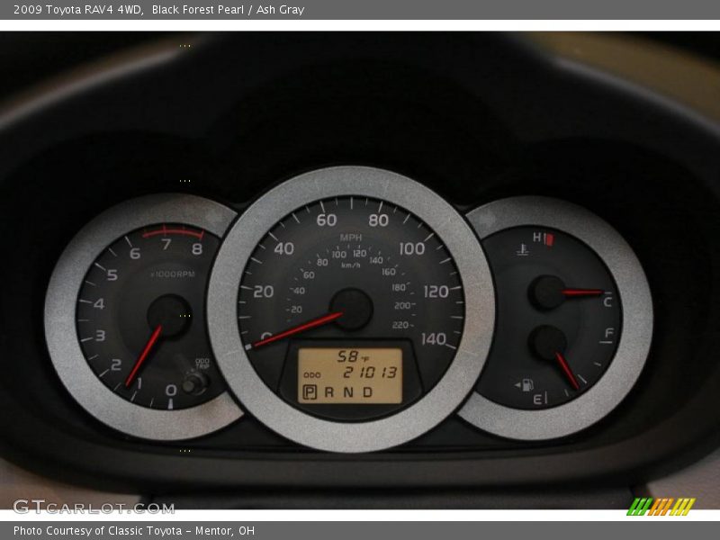 Black Forest Pearl / Ash Gray 2009 Toyota RAV4 4WD