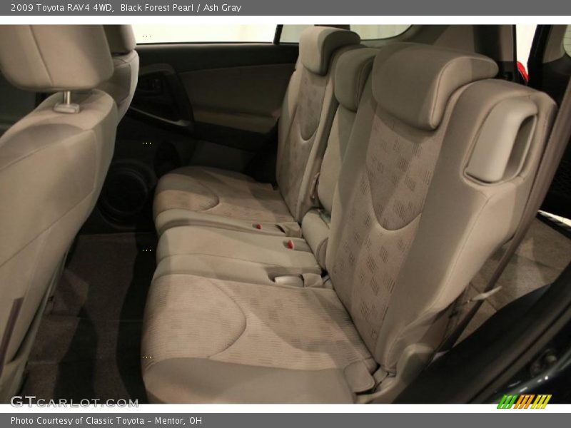 Black Forest Pearl / Ash Gray 2009 Toyota RAV4 4WD
