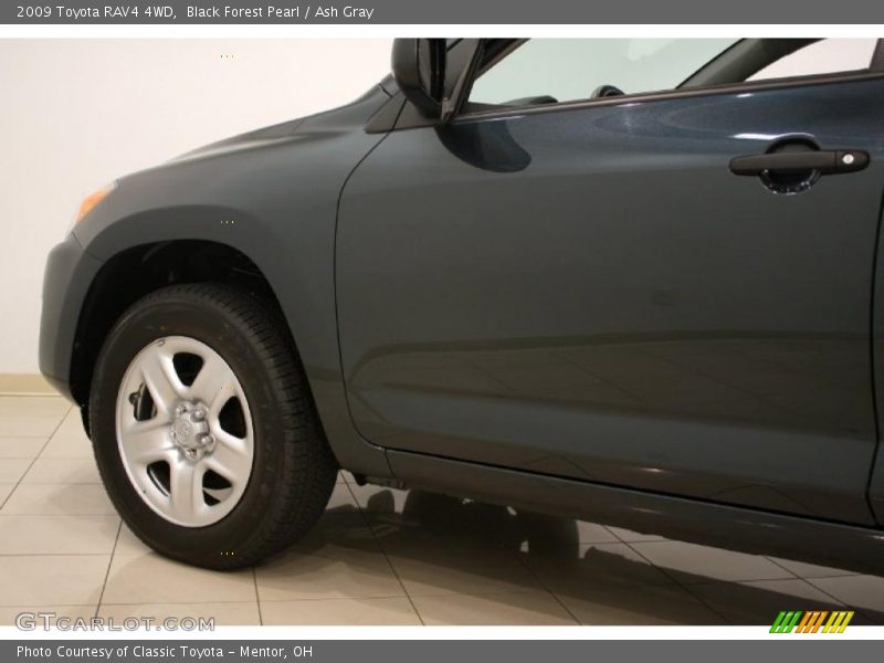 Black Forest Pearl / Ash Gray 2009 Toyota RAV4 4WD