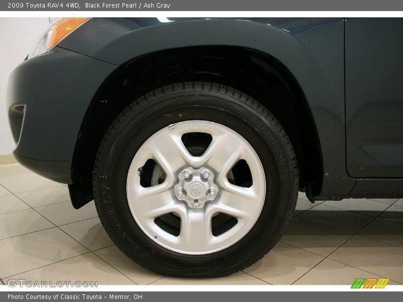 Black Forest Pearl / Ash Gray 2009 Toyota RAV4 4WD