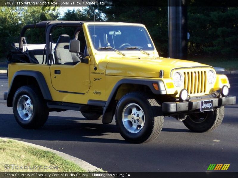 Solar Yellow / Agate Black 2002 Jeep Wrangler Sport 4x4