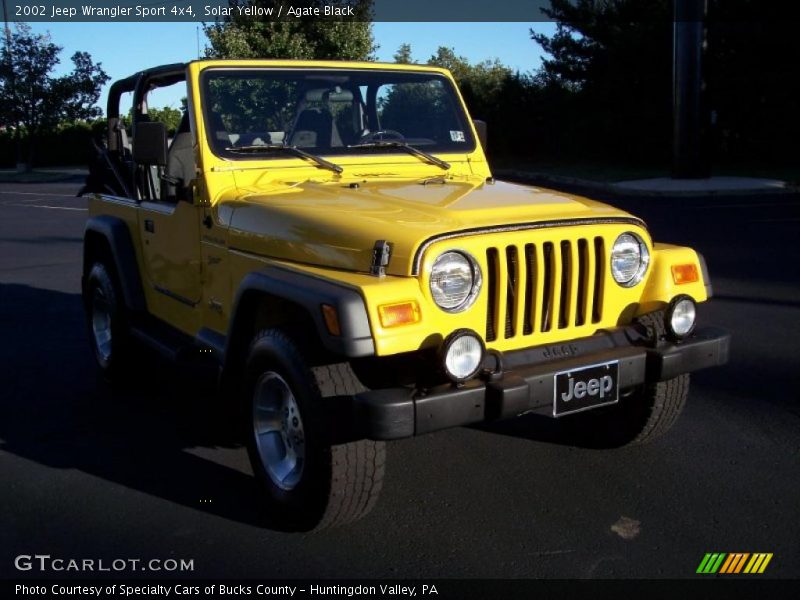 Solar Yellow / Agate Black 2002 Jeep Wrangler Sport 4x4