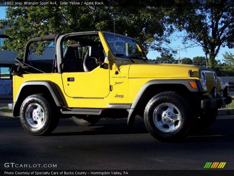 Solar Yellow / Agate Black 2002 Jeep Wrangler Sport 4x4