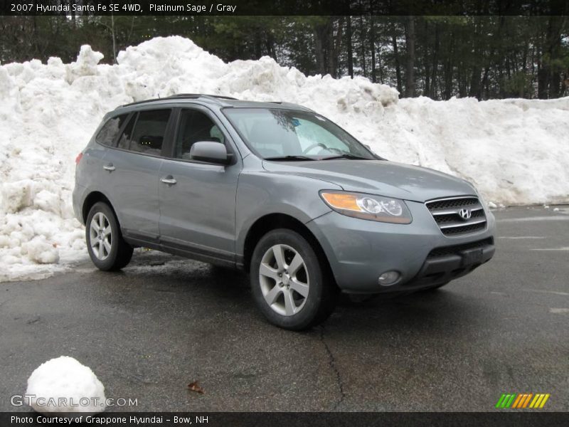 Platinum Sage / Gray 2007 Hyundai Santa Fe SE 4WD