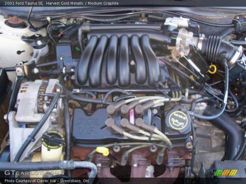 Harvest Gold Metallic / Medium Graphite 2001 Ford Taurus SE