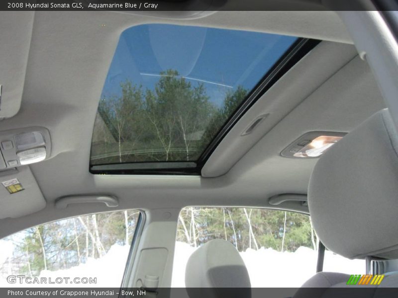 Aquamarine Blue / Gray 2008 Hyundai Sonata GLS
