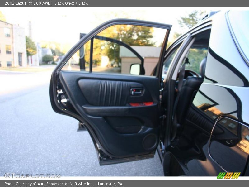 Black Onyx / Black 2002 Lexus RX 300 AWD