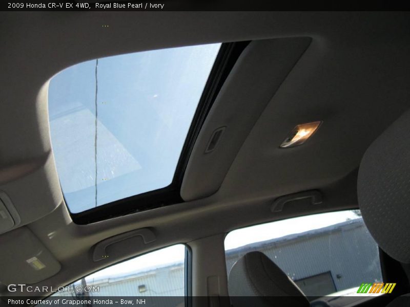 Royal Blue Pearl / Ivory 2009 Honda CR-V EX 4WD