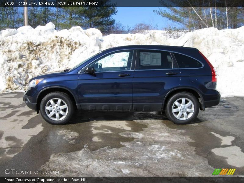 Royal Blue Pearl / Ivory 2009 Honda CR-V EX 4WD