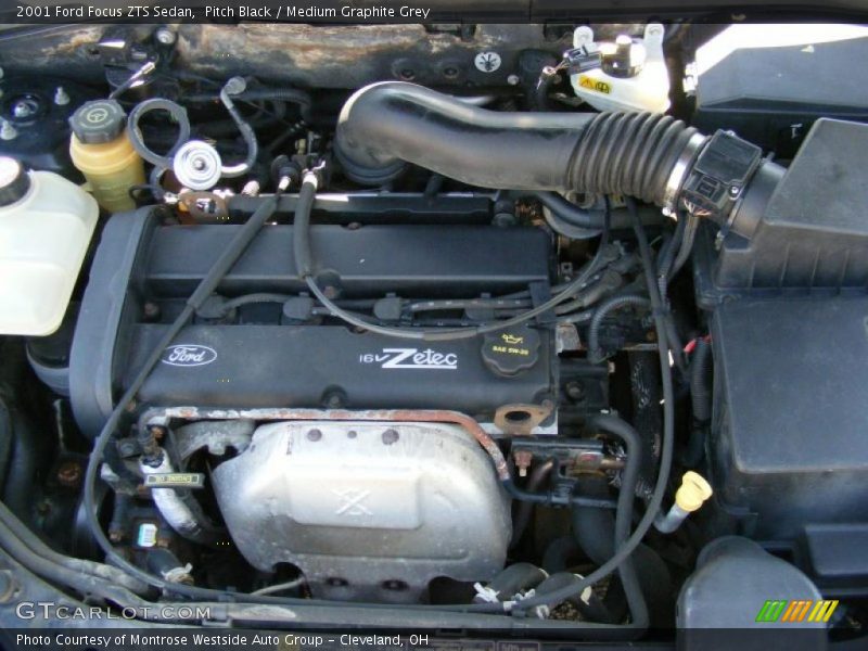 Pitch Black / Medium Graphite Grey 2001 Ford Focus ZTS Sedan