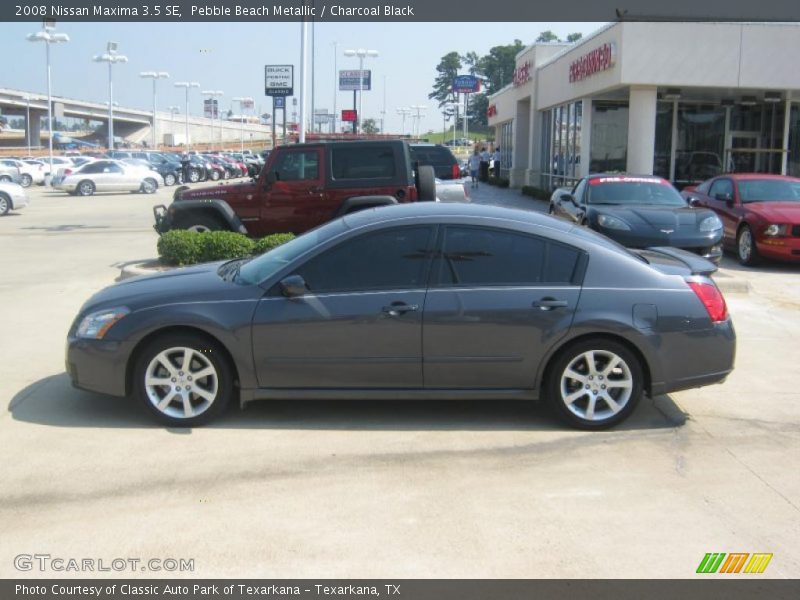 Pebble Beach Metallic / Charcoal Black 2008 Nissan Maxima 3.5 SE