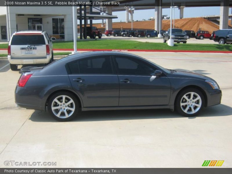 Pebble Beach Metallic / Charcoal Black 2008 Nissan Maxima 3.5 SE