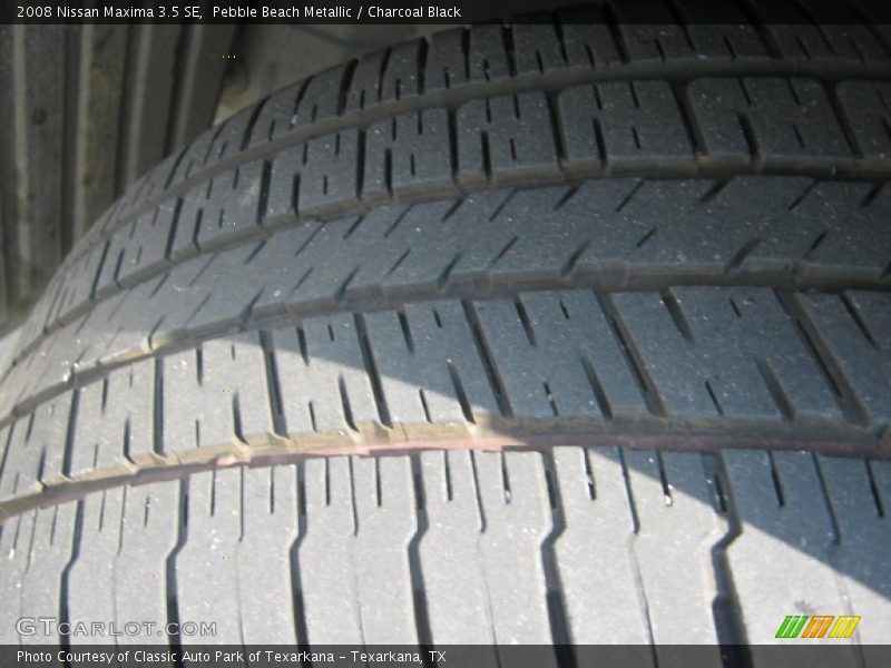 Pebble Beach Metallic / Charcoal Black 2008 Nissan Maxima 3.5 SE