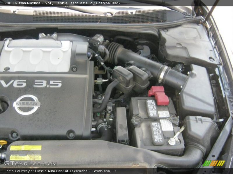 Pebble Beach Metallic / Charcoal Black 2008 Nissan Maxima 3.5 SE