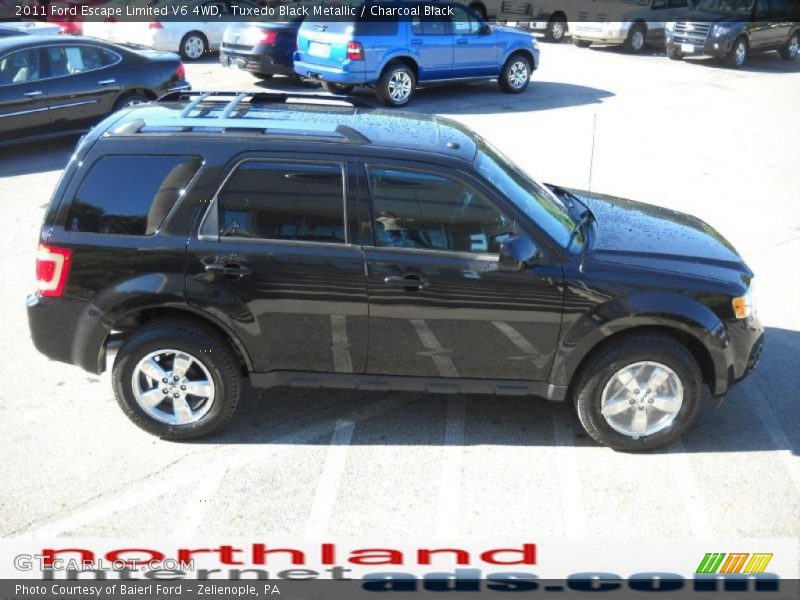 Tuxedo Black Metallic / Charcoal Black 2011 Ford Escape Limited V6 4WD