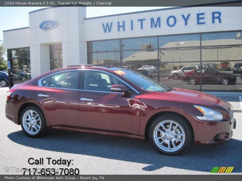 Tuscan Sun Metallic / Charcoal 2009 Nissan Maxima 3.5 SV