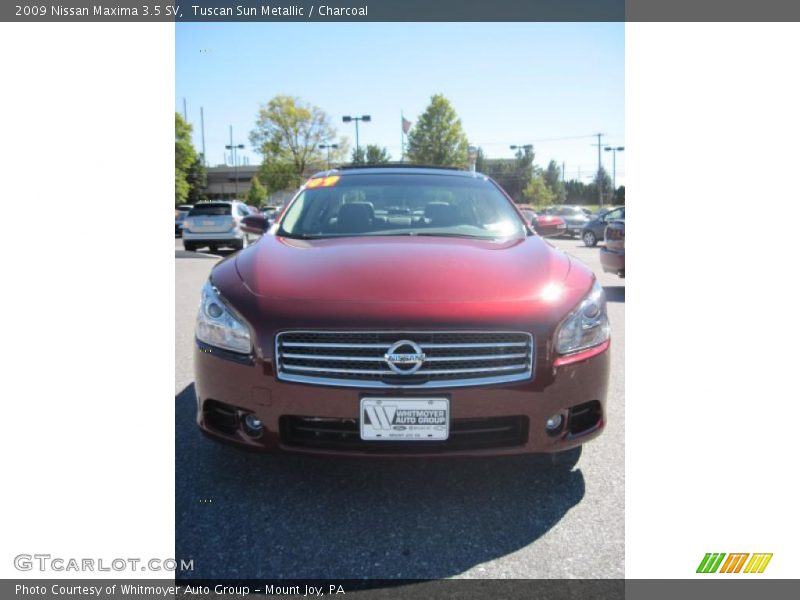 Tuscan Sun Metallic / Charcoal 2009 Nissan Maxima 3.5 SV