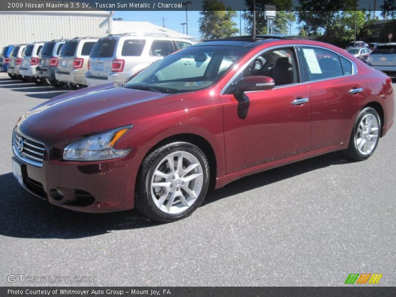 Tuscan Sun Metallic / Charcoal 2009 Nissan Maxima 3.5 SV