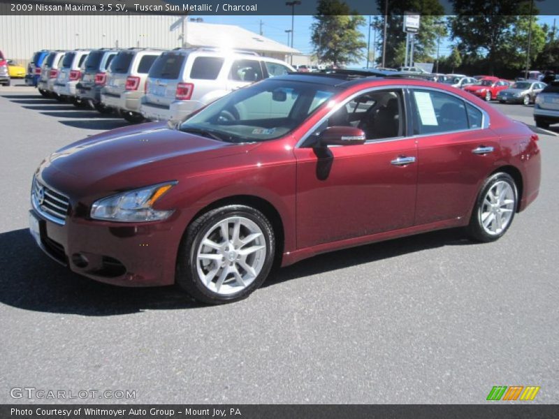 Tuscan Sun Metallic / Charcoal 2009 Nissan Maxima 3.5 SV