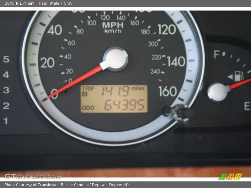 Pearl White / Gray 2005 Kia Amanti