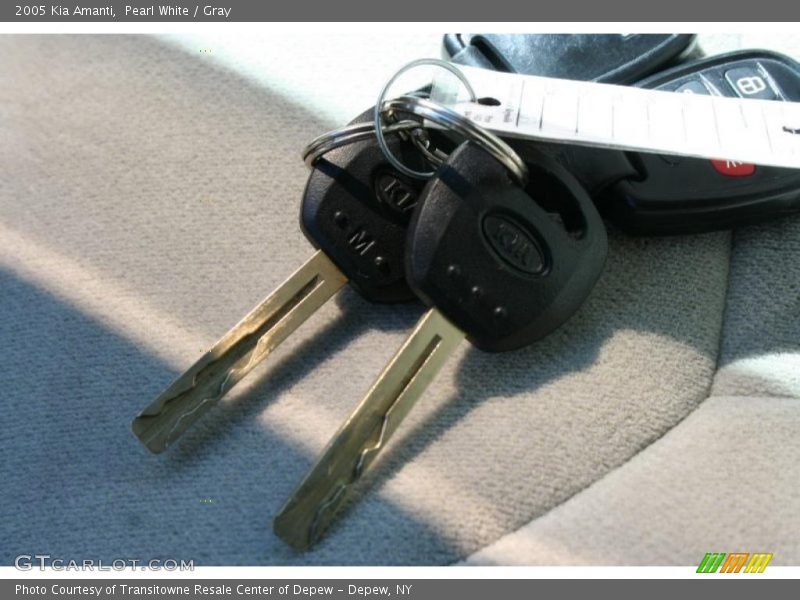 Pearl White / Gray 2005 Kia Amanti