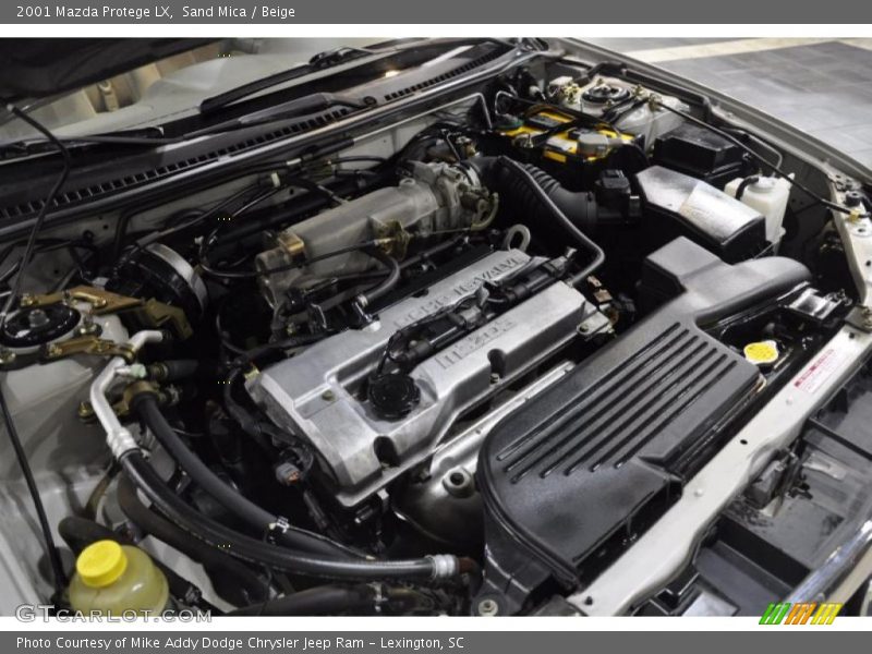 Sand Mica / Beige 2001 Mazda Protege LX