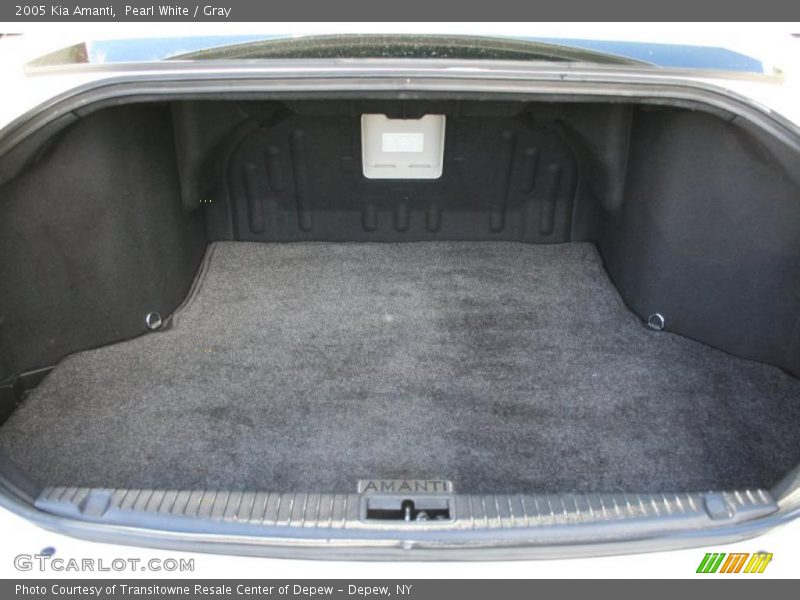 Pearl White / Gray 2005 Kia Amanti