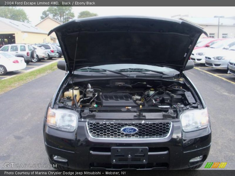 Black / Ebony Black 2004 Ford Escape Limited 4WD