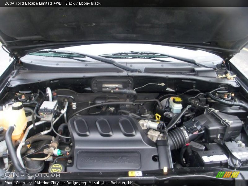 Black / Ebony Black 2004 Ford Escape Limited 4WD