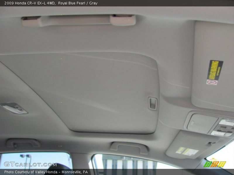 Royal Blue Pearl / Gray 2009 Honda CR-V EX-L 4WD