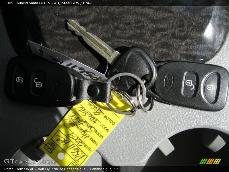 Steel Gray / Gray 2009 Hyundai Santa Fe GLS 4WD
