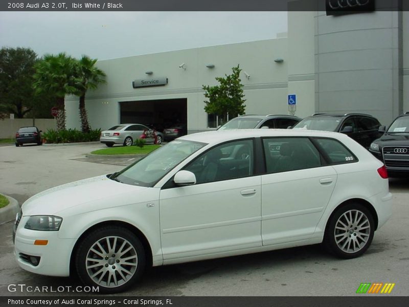 Ibis White / Black 2008 Audi A3 2.0T