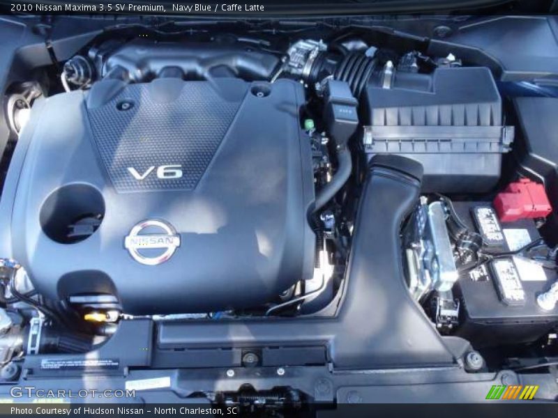 Navy Blue / Caffe Latte 2010 Nissan Maxima 3.5 SV Premium
