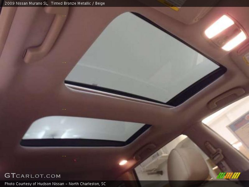 Tinted Bronze Metallic / Beige 2009 Nissan Murano SL