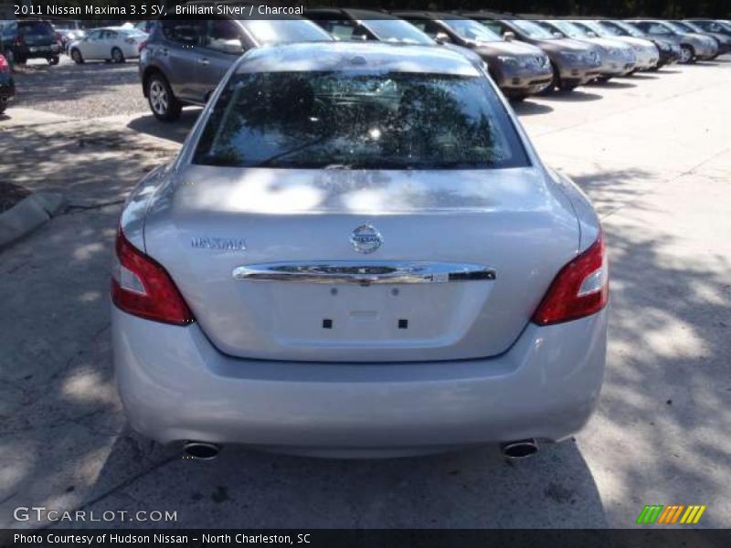 Brilliant Silver / Charcoal 2011 Nissan Maxima 3.5 SV