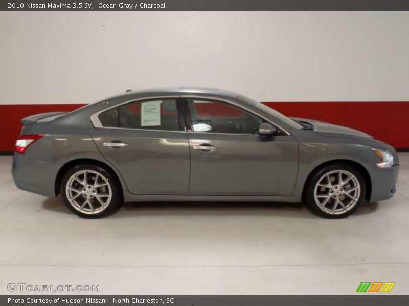 Ocean Gray / Charcoal 2010 Nissan Maxima 3.5 SV