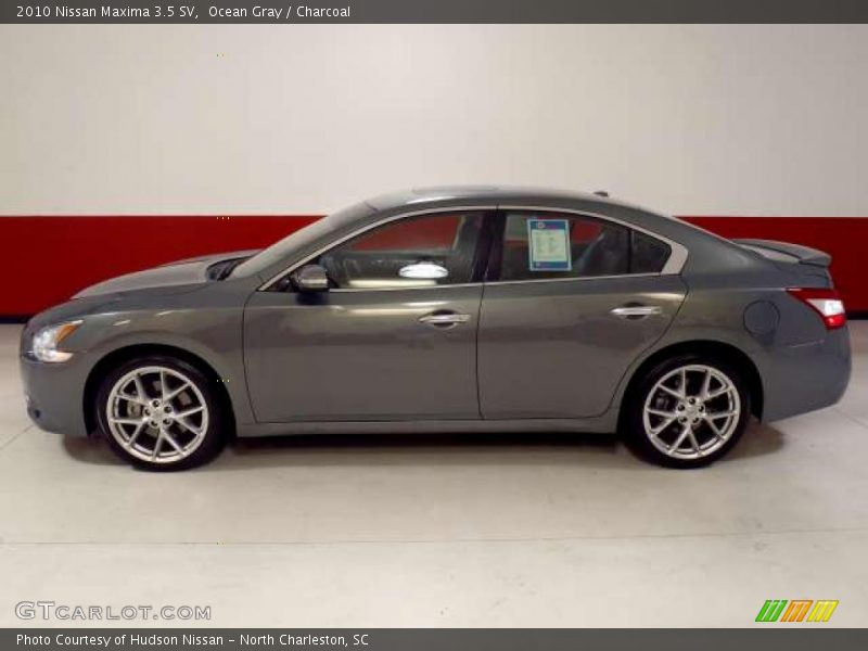 Ocean Gray / Charcoal 2010 Nissan Maxima 3.5 SV