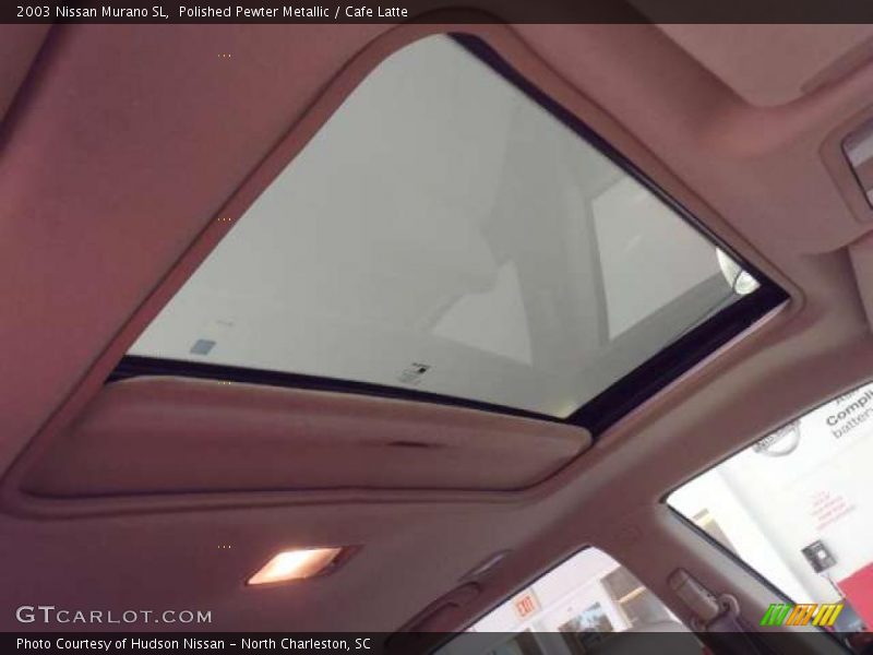 Polished Pewter Metallic / Cafe Latte 2003 Nissan Murano SL
