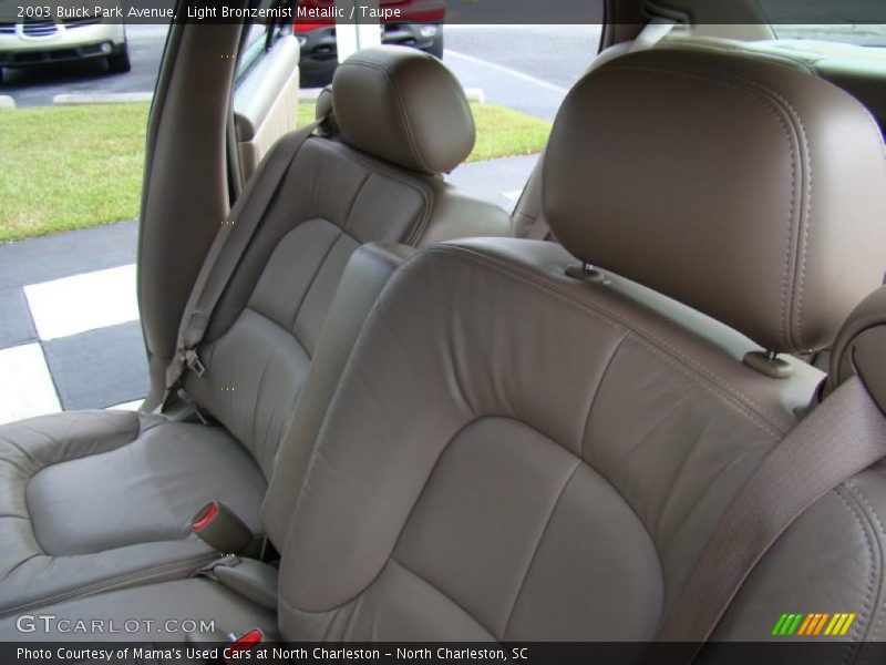 Light Bronzemist Metallic / Taupe 2003 Buick Park Avenue