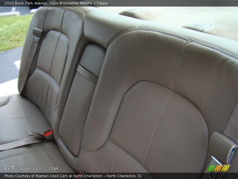 Light Bronzemist Metallic / Taupe 2003 Buick Park Avenue
