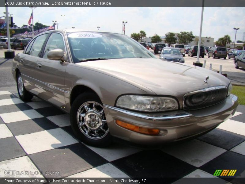 Light Bronzemist Metallic / Taupe 2003 Buick Park Avenue