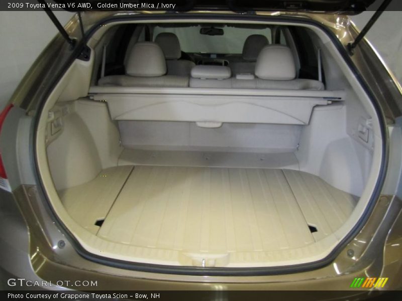 Golden Umber Mica / Ivory 2009 Toyota Venza V6 AWD