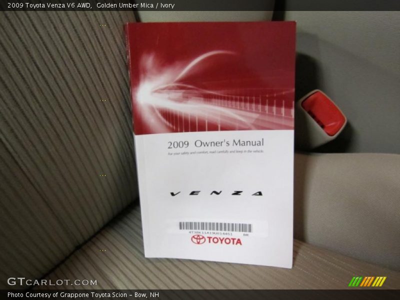 Golden Umber Mica / Ivory 2009 Toyota Venza V6 AWD