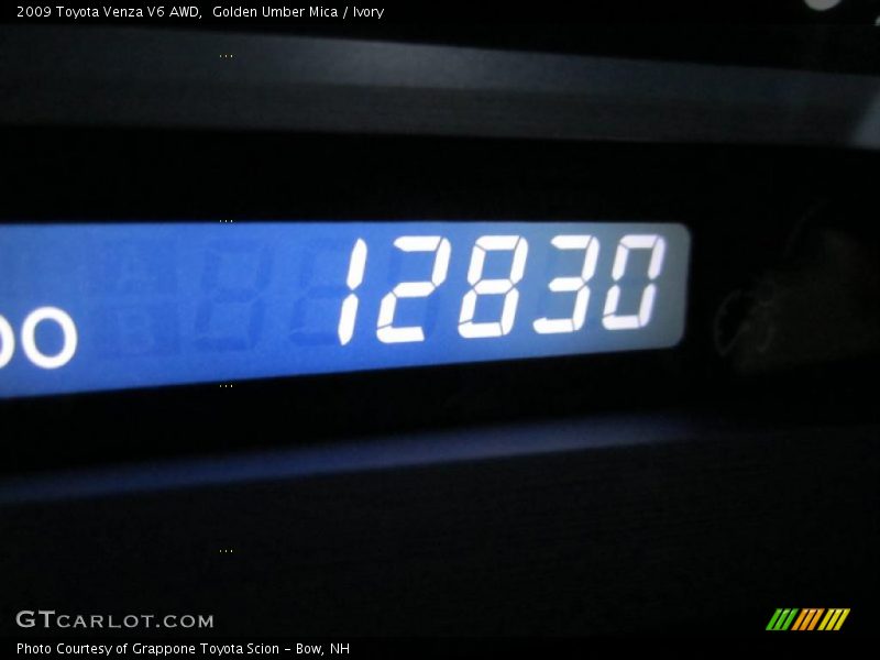 Golden Umber Mica / Ivory 2009 Toyota Venza V6 AWD