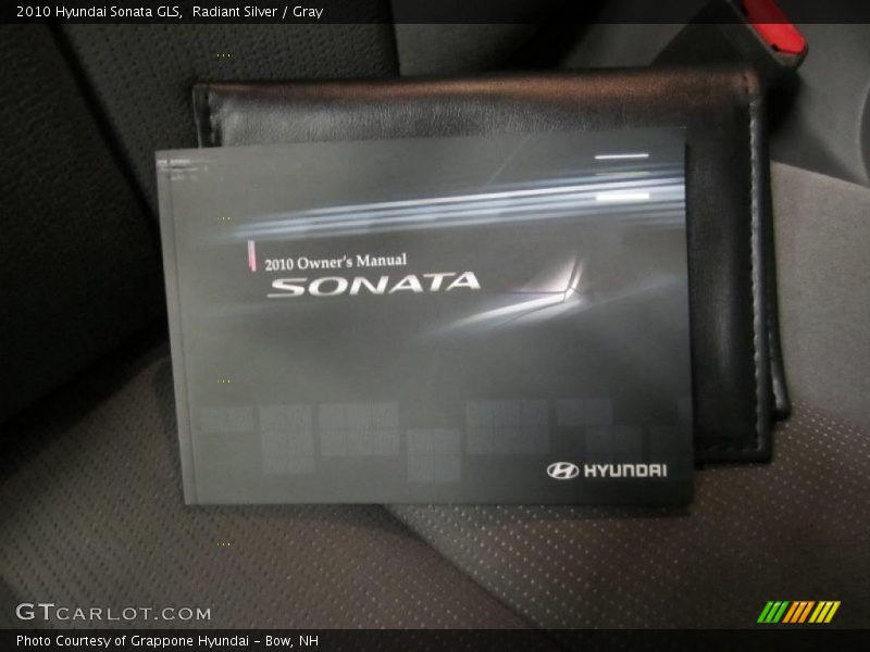Radiant Silver / Gray 2010 Hyundai Sonata GLS