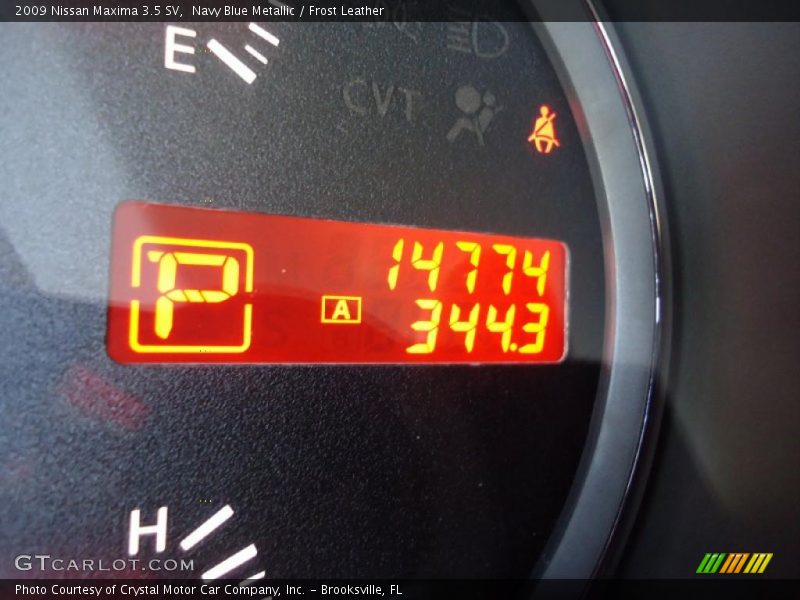 Navy Blue Metallic / Frost Leather 2009 Nissan Maxima 3.5 SV