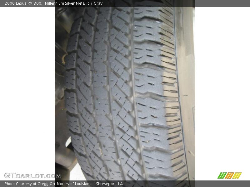 Millennium Silver Metallic / Gray 2000 Lexus RX 300