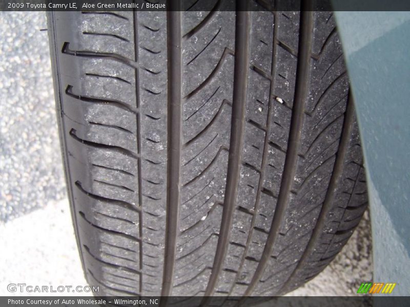 Aloe Green Metallic / Bisque 2009 Toyota Camry LE