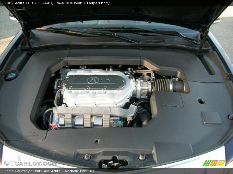 Royal Blue Pearl / Taupe/Ebony 2009 Acura TL 3.7 SH-AWD