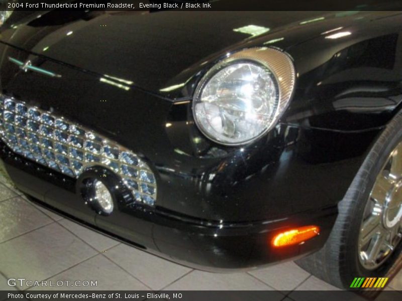 Evening Black / Black Ink 2004 Ford Thunderbird Premium Roadster